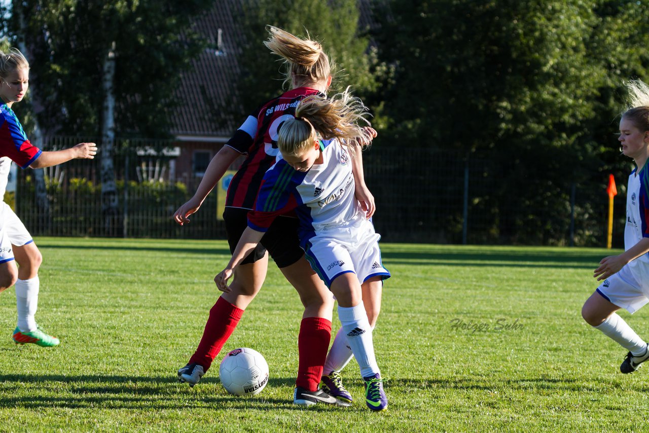 Bild 138 - B-Juniorinnen SG Wilstermarsch - SV Henstedt Ulzburg : Ergebnis: 5:1